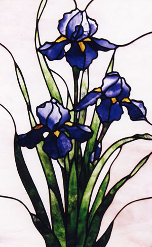 Iris in Blue